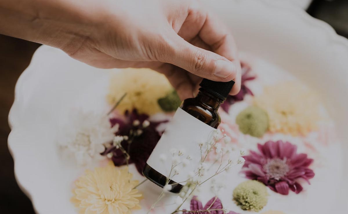 Top 7 Beauty Benefits Of Jojoba Oil That Will Make Your Skin Super Soft