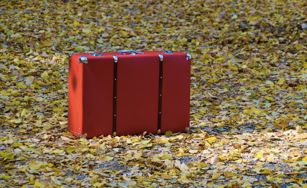 Man's Body Found Inside Suitcase In Haryana; Hands, Legs Were Tied: Police