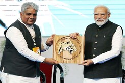 India's Tiger Population Rises To 3,167, PM Launches Initiative To Save Big Cats India's Tiger Population Rises To 3,167, PM Launches Initiative To Save Big Cats