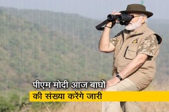 1973 में देश में 268 बाघ थे, आज इनकी संख्या कितनी है ? बताएंगे पीएम मोदी 1973 में देश में 268 बाघ थे, आज इनकी संख्या कितनी है ? बताएंगे पीएम मोदी