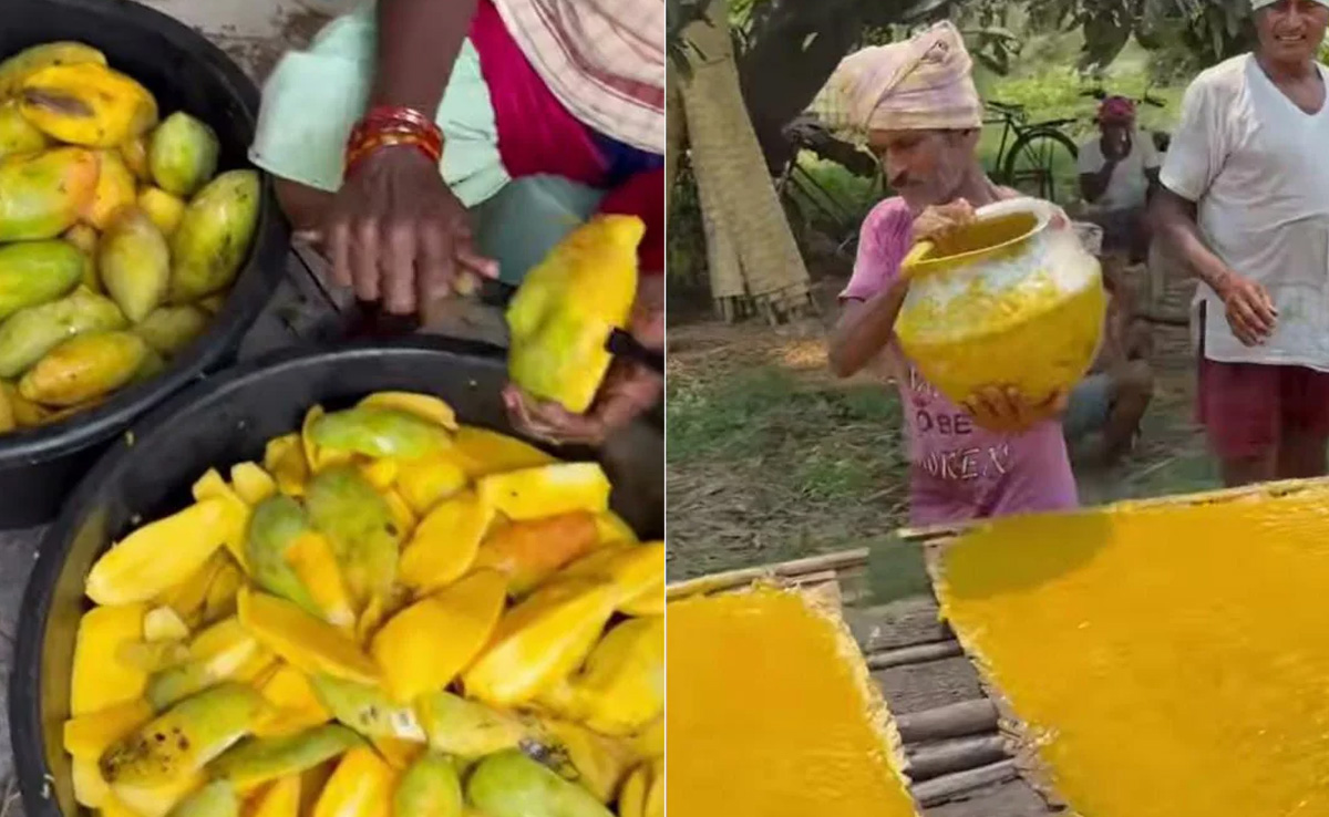 आम पापड़ कैसे बनता है? इसे बनाने का तरीका देख परेशान हुए लोग, बोले- काश न देखा होता ये Video, RIP हाइजीन!