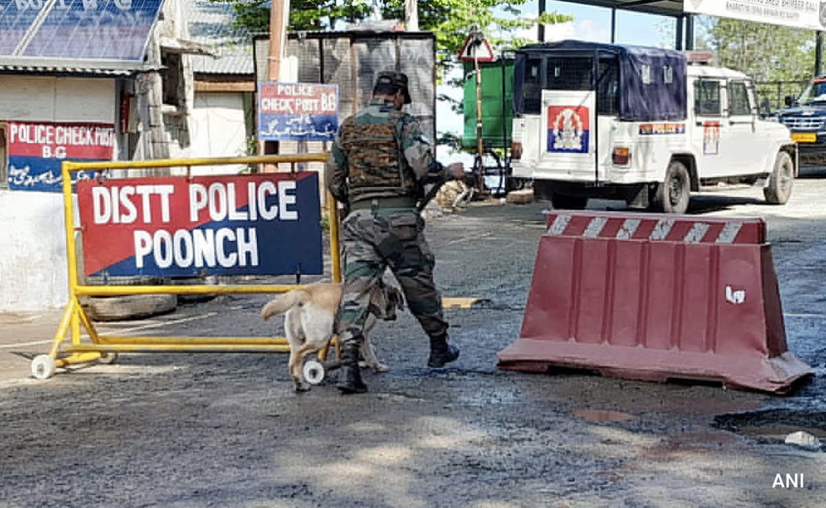 4 Foreign Terrorists Killed In J&K's Poonch; Army Says Major Terror Strike Averted