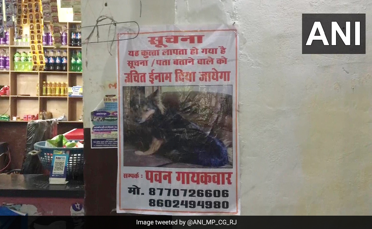 Video: Posters Put Up After Delhi Bureaucrat's Dog Goes Missing In Madhya Pradesh