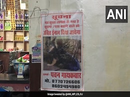 Video: Posters Put Up After Delhi Bureaucrat's Dog Goes Missing In Madhya Pradesh Video: Posters Put Up After Delhi Bureaucrat's Dog Goes Missing In Madhya Pradesh