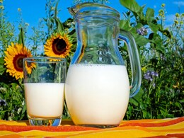 World Milk Day 2023: All You Need To Know About The Day World Milk Day 2023: All You Need To Know About The Day