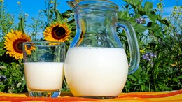 Boost Your Bone Health With These 5 Calcium-Rich Foods