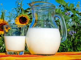 Milk Isn't The Only Way To Get Calcium: 6 Delicious Alternatives Milk Isn't The Only Way To Get Calcium: 6 Delicious Alternatives