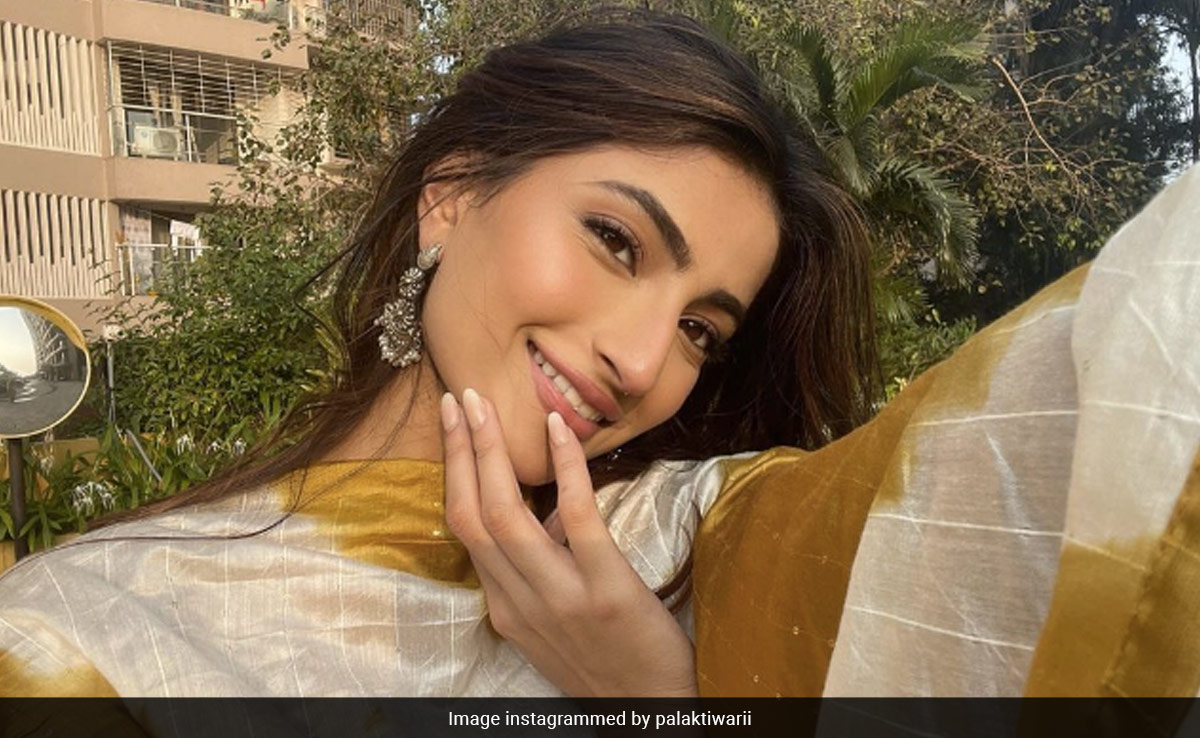 Palak Tiwari Dismisses Rumours About Dating Ibrahim Ali Khan: "Id Rather Focus On My Work"