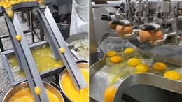 'Egg-straordinary' Viral Video Shows Breaking And Separation Of Eggs In Factory