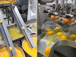 'Egg-straordinary' Viral Video Shows Breaking And Separation Of Eggs In Factory