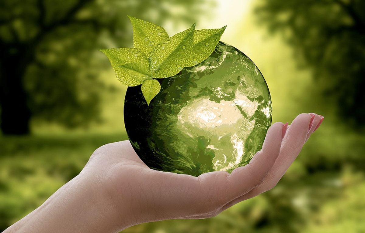Top Sustainable Universities Across World Based on QS Rankings 2024
