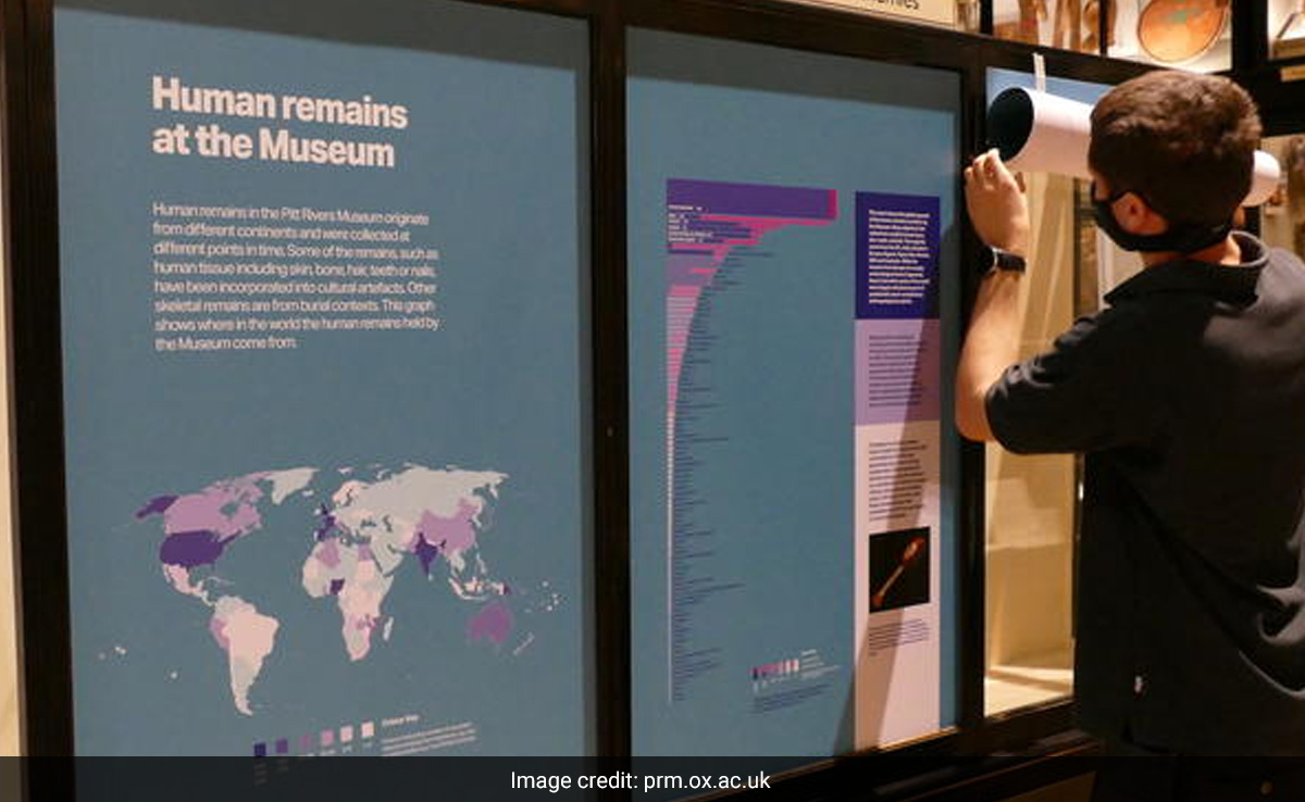 Process To Repatriate Human Remains Of Nagas From UK Museum Underway