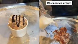 Tandoori Chicken With Ice Cream? This Bizarre Food Combo Leaves Internet In Shock