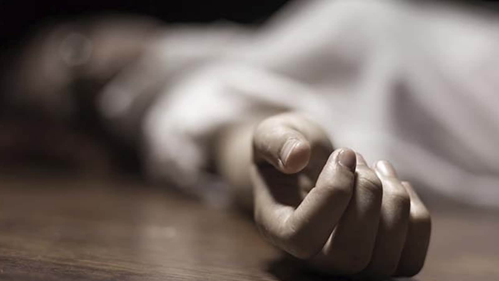 Retired Army Man and Wife Found Hacked to Death at Home in Hathras, UP
