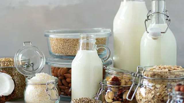 There are many plant-based alternatives for milk that can help in the development of your kid