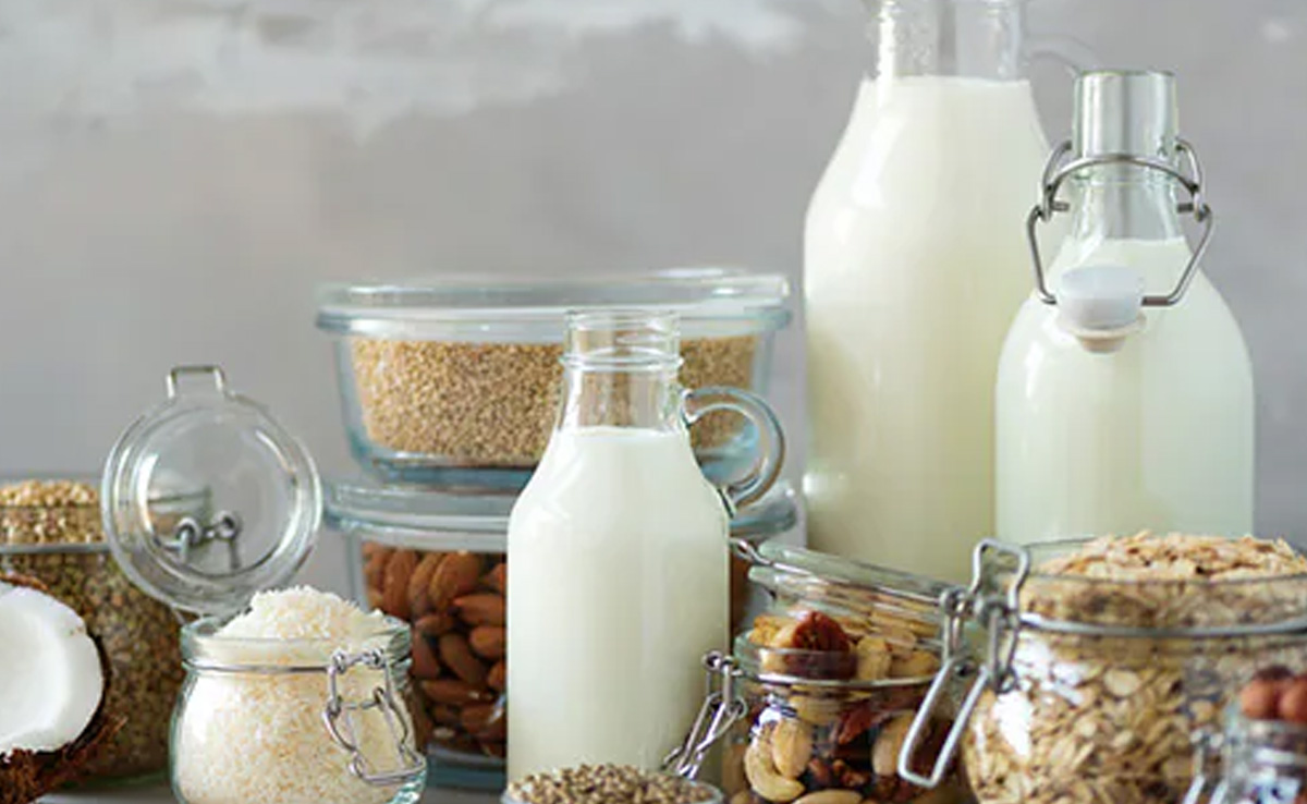 There are many plant-based alternatives for milk that can help in the development of your kid
