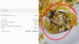 Viral Pics: महिला ने Swiggy से मंगवाई बिरयानी, वेज बिरयानी में निकला चिकन, लोगों ने स्विगी की लगा दी क्लास