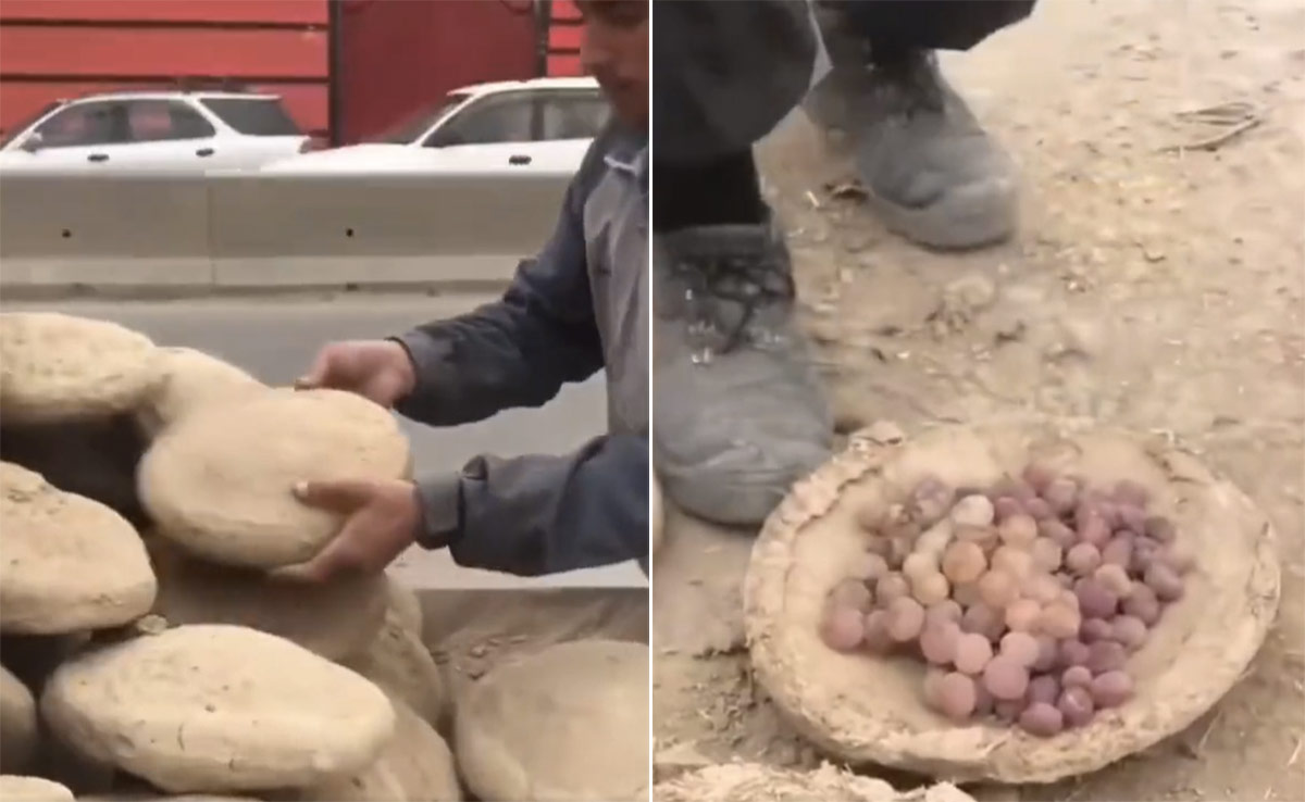 पुरानी तकनीक के ज़रिए फल को 6 महीने तक फ्रेश रखा जाता था, 22 लाख लोगों ने देखा वायरल वीडियो