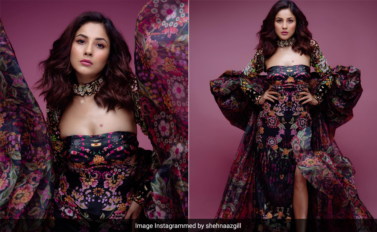 Shehnaaz Gill's Stunning Dark Floral Gown Is Made For Drama On Summer Nights