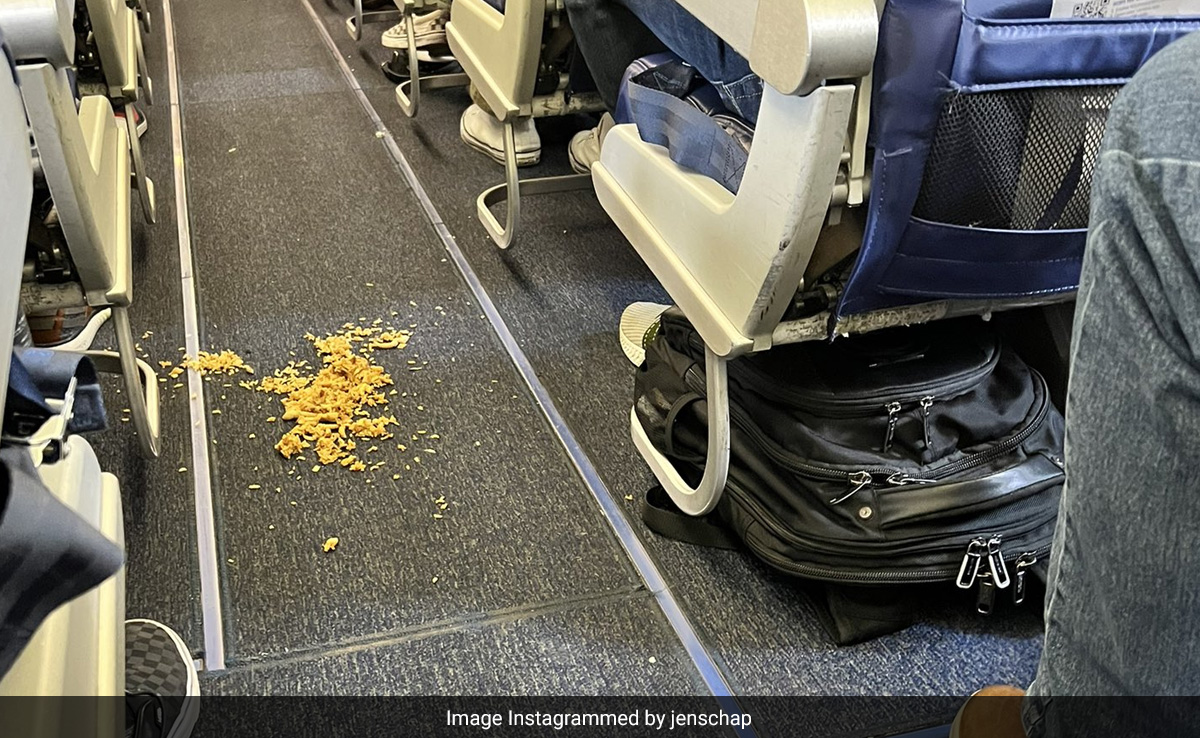 "Rice Gate": Flight Gets Delayed Due To Spilled Rice In Aisle