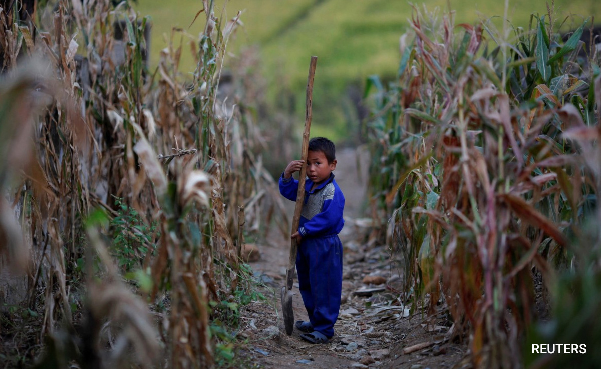 North Korea Journalists Meet After 22 Years Amid "Chronic Food Shortages"