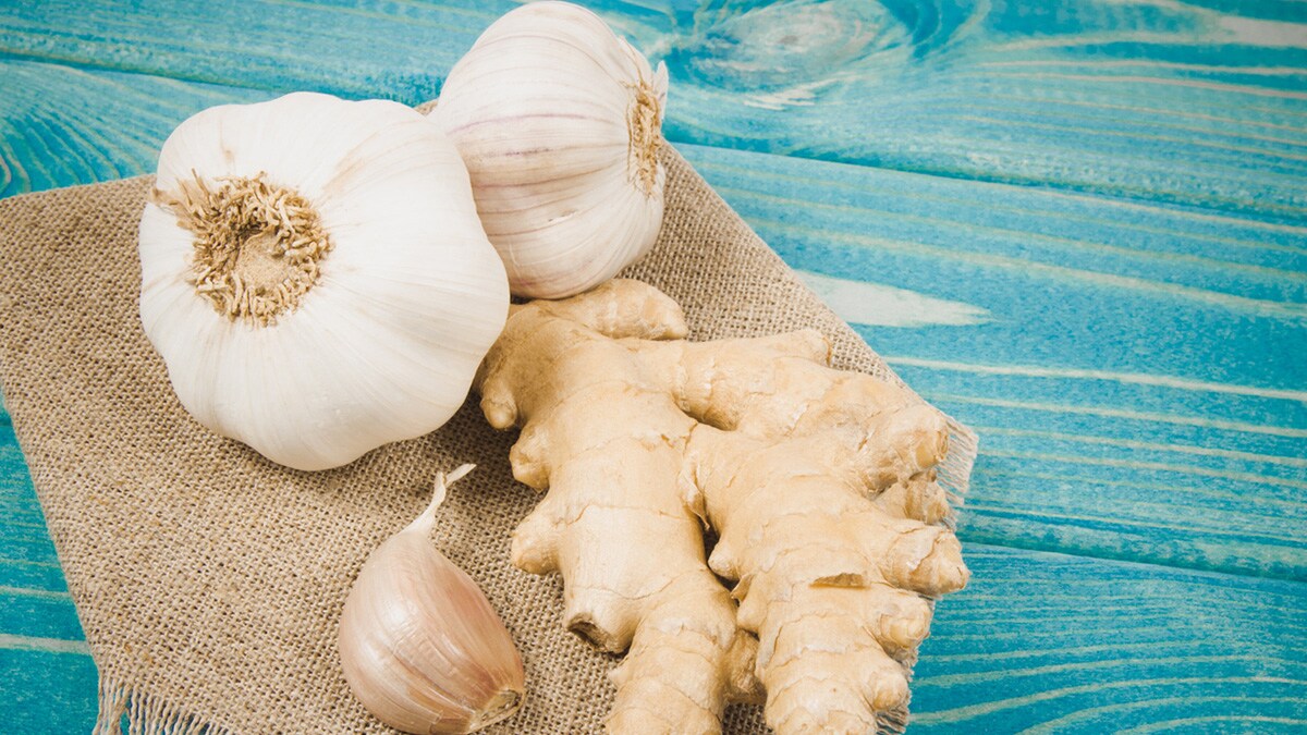 Store Ginger Garlic Know All About Store Ginger Garlic at NDTV Food
