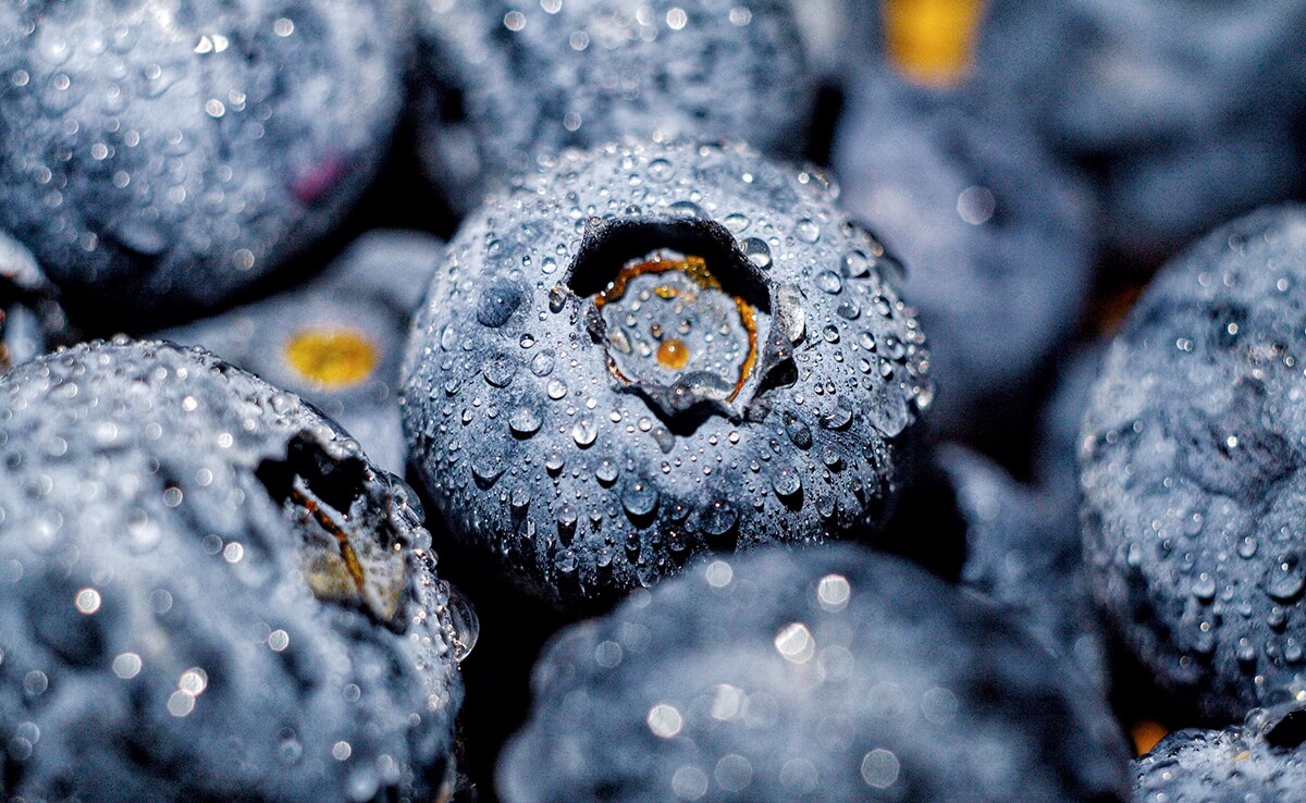 Discover the Incredible Benefits of Blueberries Nutrition Smart