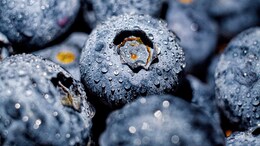 6 Health Benefits Of Blueberries You Might Not Know About