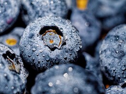 6 Health Benefits Of Blueberries You Might Not Know About