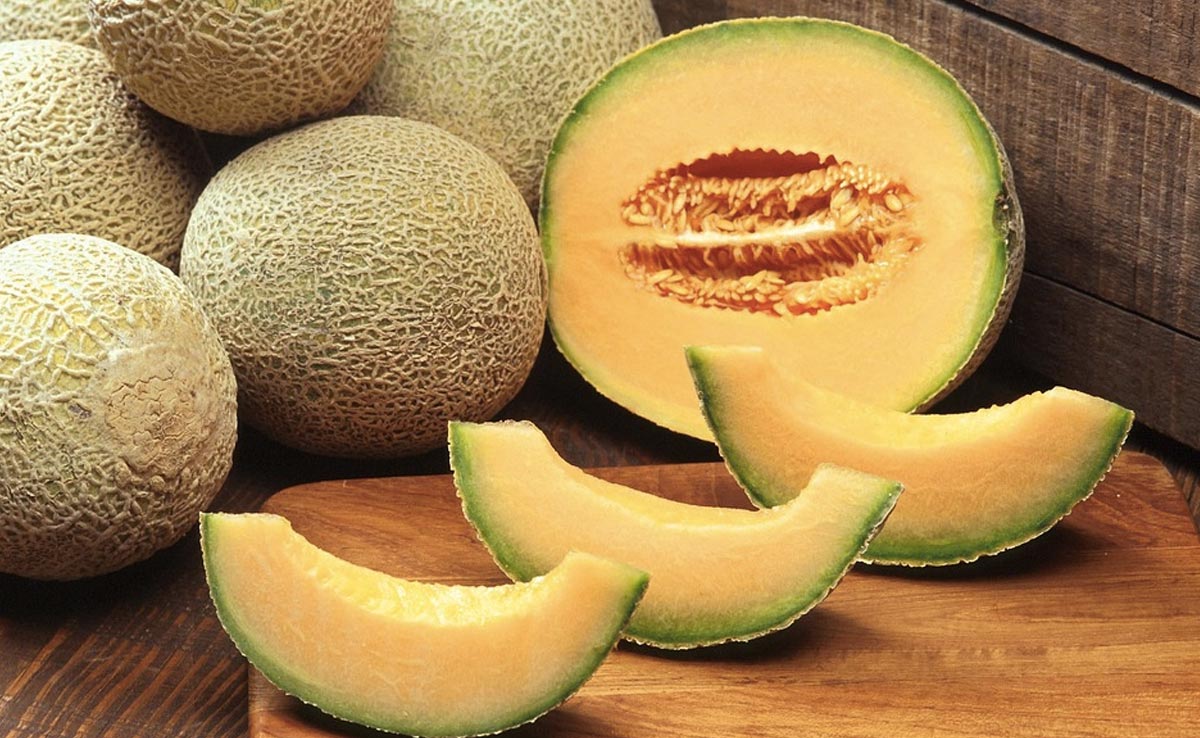 How To Store Muskmelon Properly During Summer