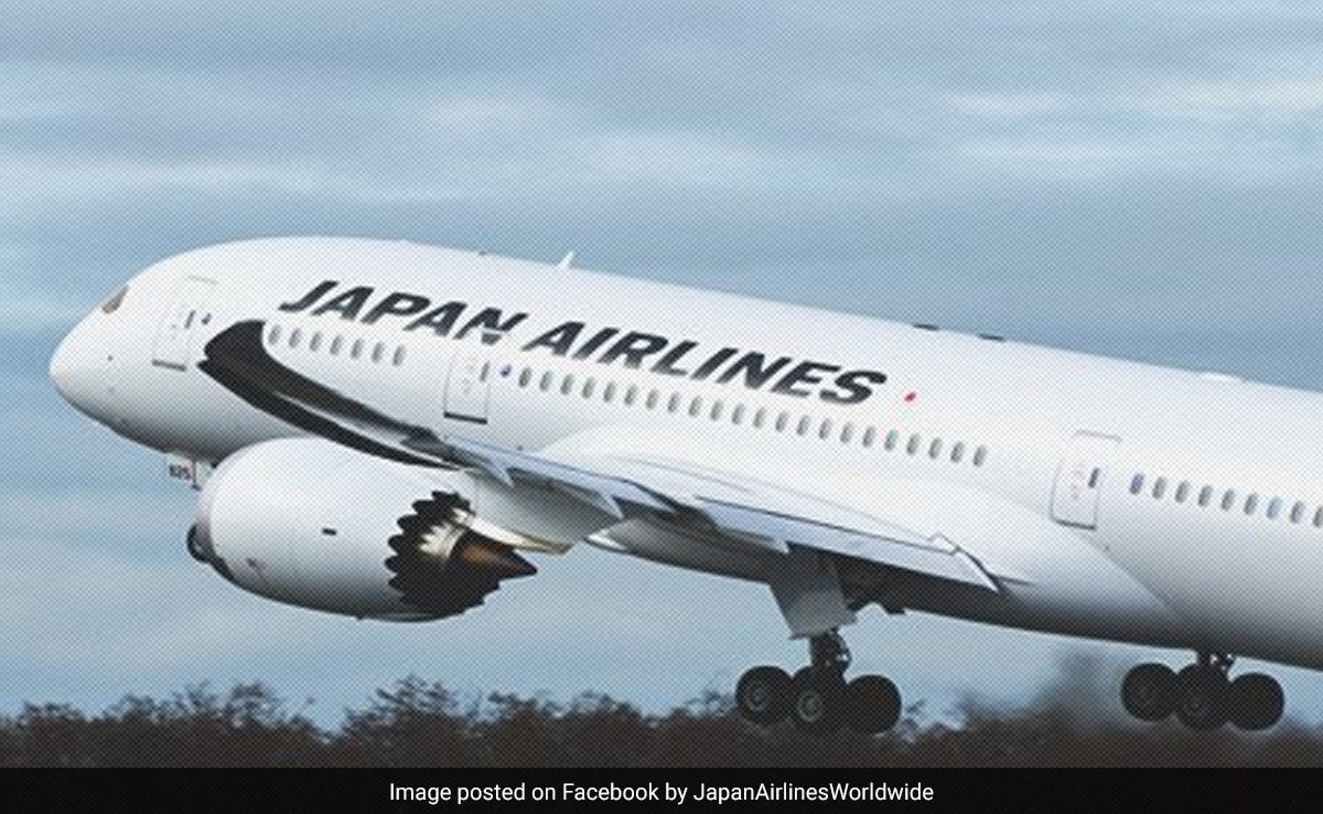 Japan Airlines Flight Cancelled After Pilot Got "Drunk" And Engaged In "Disorderly Behaviour" At Hotel