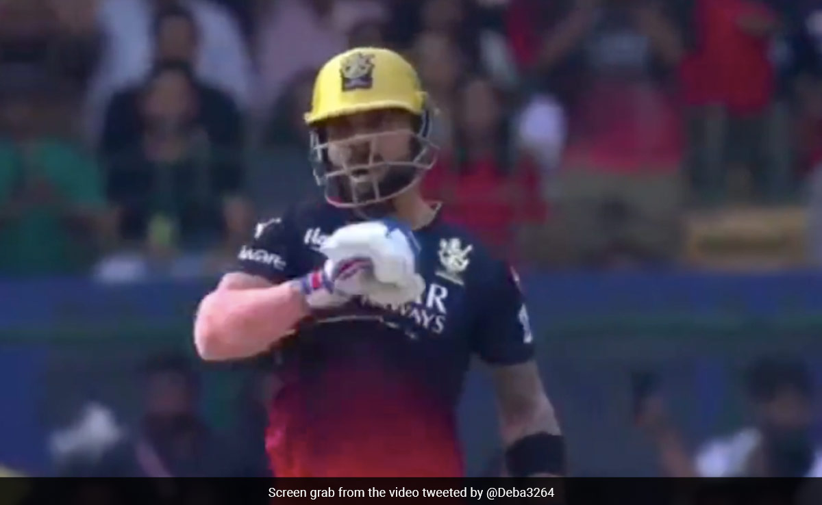 Watch: Virat Kohli's Aggressive Celebration Is Back After 3rd 50 In IPL For RCB vs DC