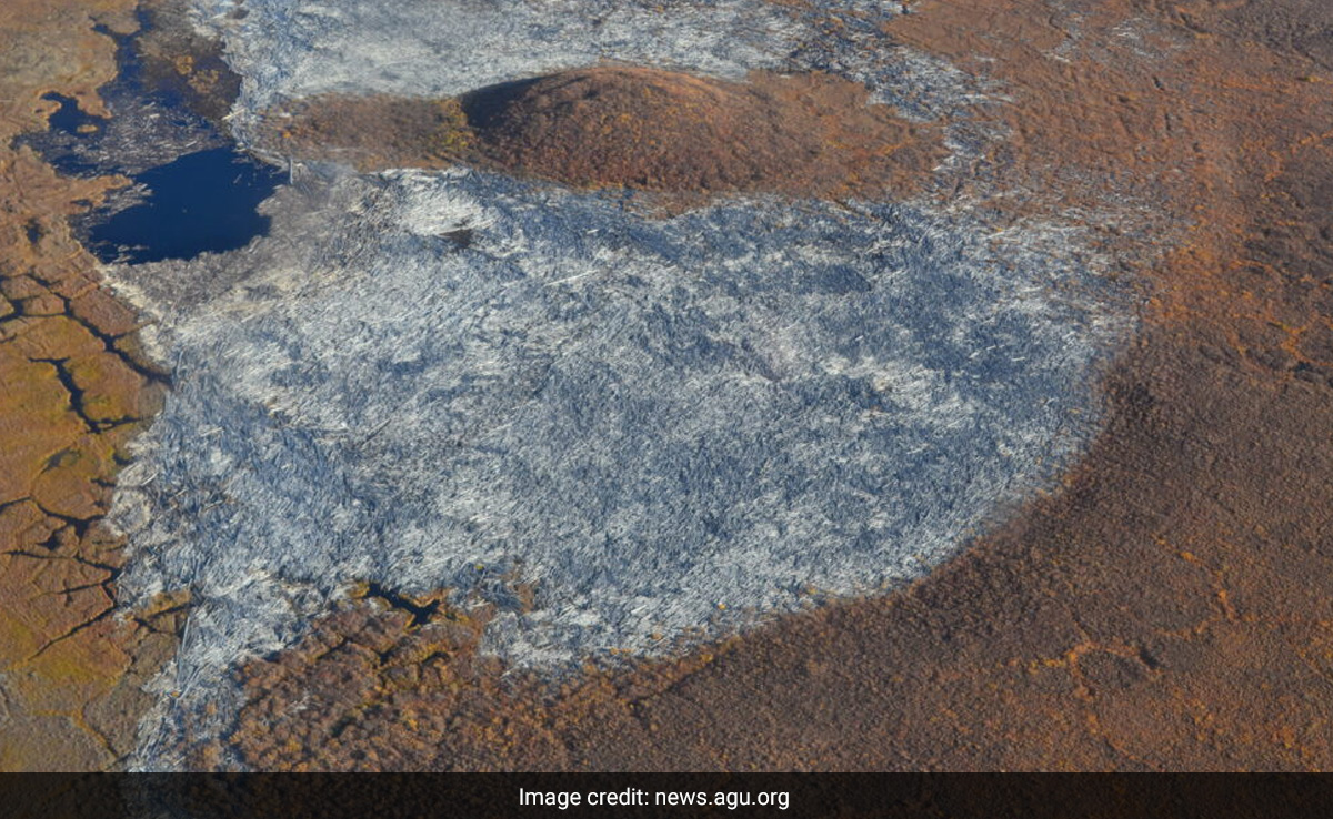 Study Finds Earth's Biggest Logjam Contains 3.4 Million Tonnes of Carbon