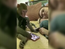 बंदर को लग गई मोबाइल की लत, बार-बार रील्स देख रहा था, आनंद महिंद्रा ने कहा- ऐसी इंसानियत से इसे बचाओ बंदर को लग गई मोबाइल की लत, बार-बार रील्स देख रहा था, आनंद महिंद्रा ने कहा- ऐसी इंसानियत से इसे बचाओ