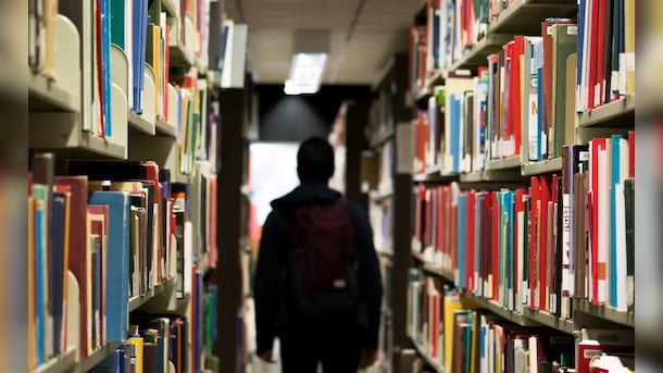 Blog | Skipped Meals, Waiter Jobs: Indian Student Describes His Never-Ending Battle Against Falling Rupee