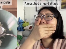 Woman's Spider Spoon Scare Has Gone Viral, What Happens Next Will Leave You In Splits