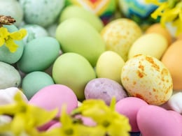 Happy Easter 2023: इस ईस्टर घर पर बनाएं मार्जिपन एग्स, यहां देखें आसान रेसिपी Happy Easter 2023: इस ईस्टर घर पर बनाएं मार्जिपन एग्स, यहां देखें आसान रेसिपी