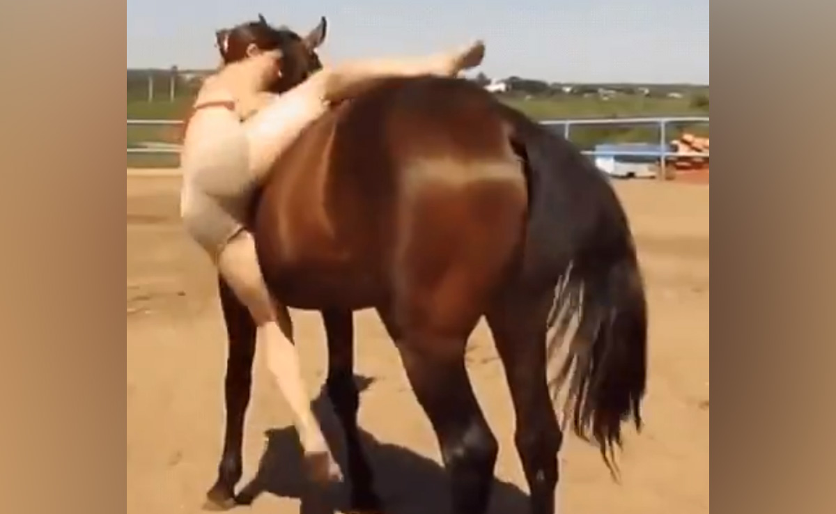 VIDEO: लड़की की 'हजार' कोशिशें हो गई नाकाम, तब घोड़े की एक ट्रिक से बन गया काम