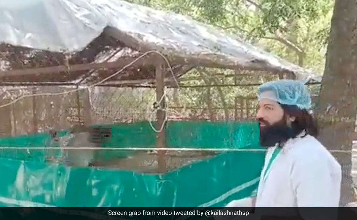 Watch: Sarus Crane's Reaction On Seeing UP Man Who Rescued Him Melts Hearts
