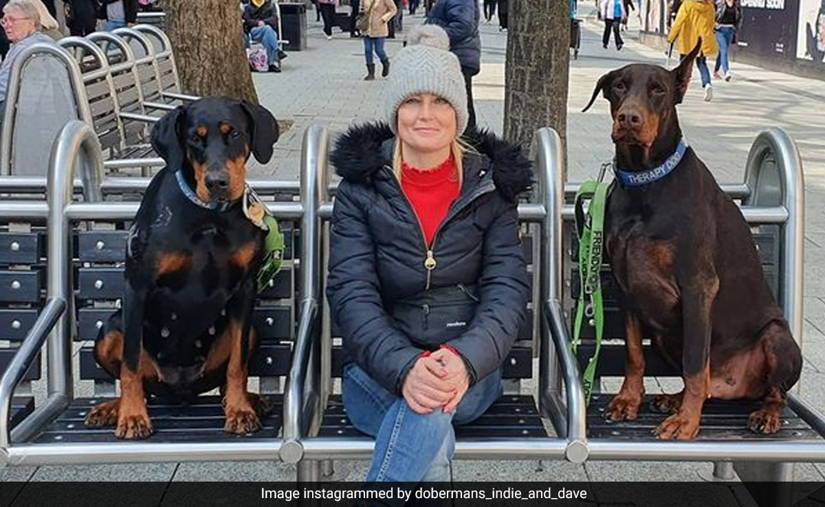 British Woman's Pet Dog Saves Her Life After Finding A Kidney Match For Her