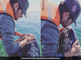 शख्स ने बिना डरे विशाल व्हेल को खूब किया दुलार, फिर किया Kiss, आगे जो हुआ, किसी को भी नहीं हो रहा यकीन शख्स ने बिना डरे विशाल व्हेल को खूब किया दुलार, फिर किया Kiss, आगे जो हुआ, किसी को भी नहीं हो रहा यकीन