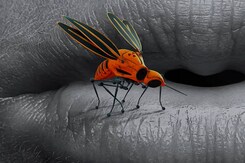 Where Does India Stand In Eradicating Malaria And Achieve Its 2030 Elimination Goal? Where Does India Stand In Eradicating Malaria And Achieve Its 2030 Elimination Goal?