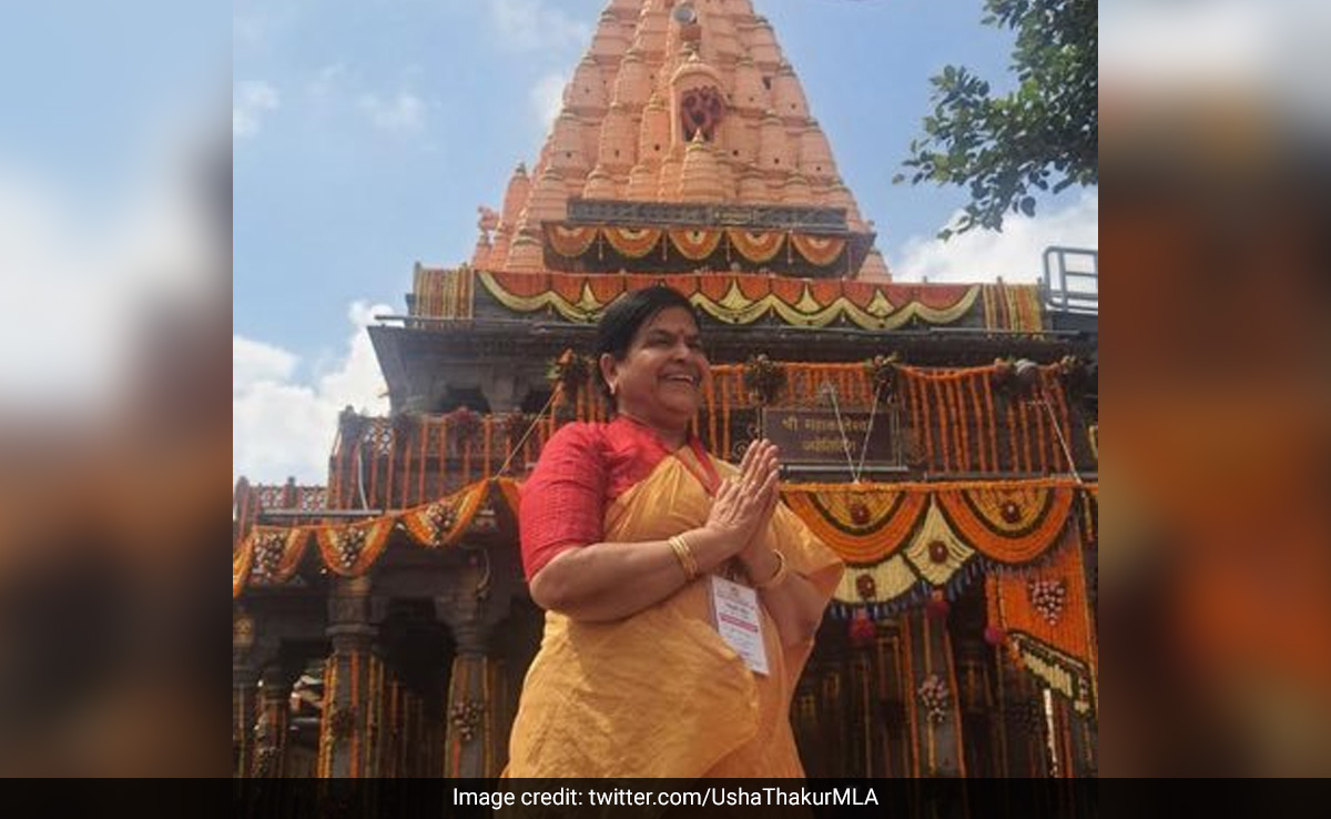 Madhya Pradesh Minister Supports BJP Leader's "Surpanakha" Remark Amid Row
