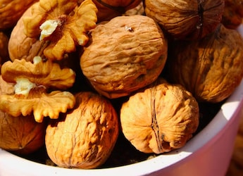 Struggling To Focus? Start Your Day With Walnuts And See The Difference Struggling To Focus? Start Your Day With Walnuts And See The Difference