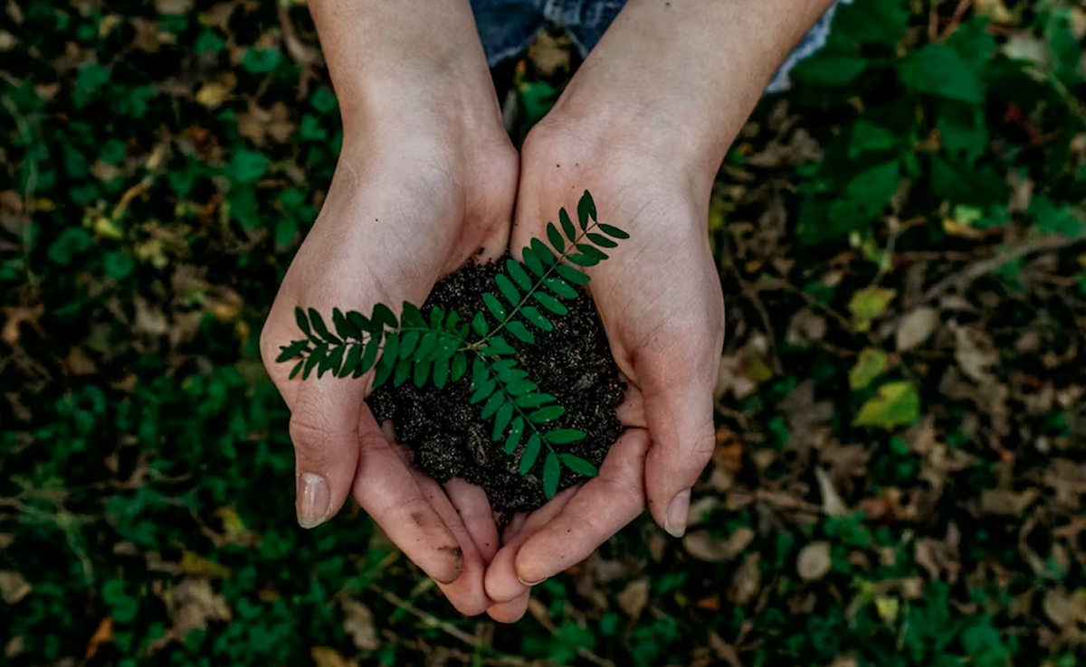 Earth Day 2023: Experts List "Simple Acts" To Protect Health Of The Planet