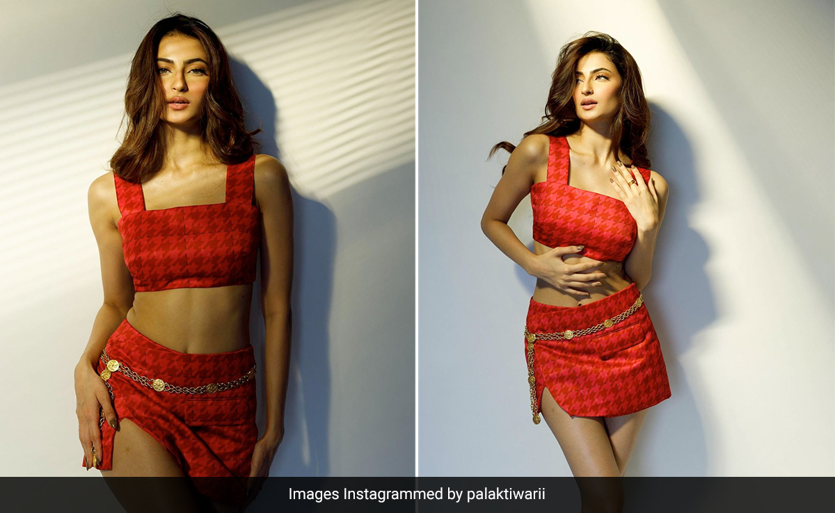The Temperature Is Only Rising Further With Palak Tiwari In A Red Check Crop Top And Mini Skirt