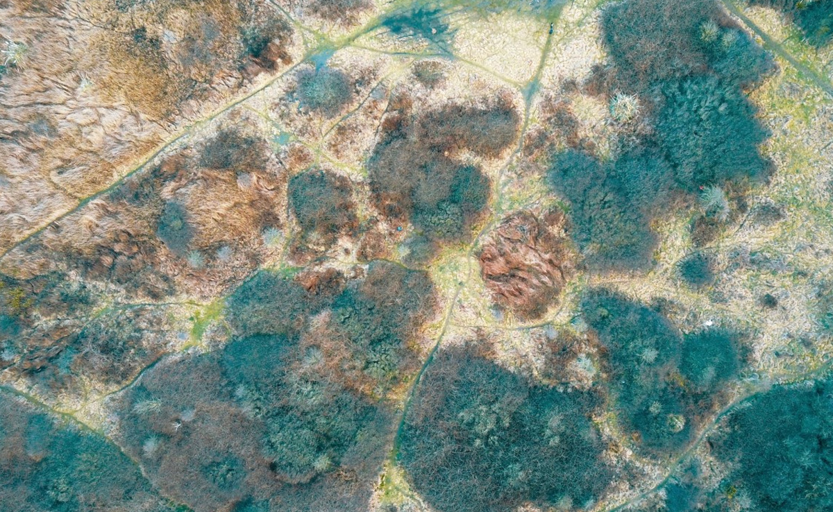 Young British Man Dies Due To Heavily Mould-Infested Home