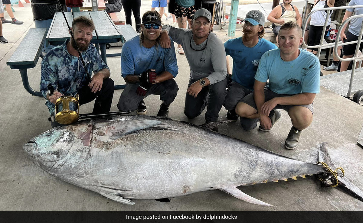 Giant Tuna Broke A Rod In Half During 2-Hour Fight With US Fishermen