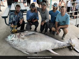 Giant Tuna Broke A Rod In Half During 2-Hour Fight With US Fishermen Giant Tuna Broke A Rod In Half During 2-Hour Fight With US Fishermen