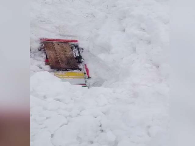 Zojila Pass के पास Avalanche में बर्फ के नीचे दब गए पांच वाहन